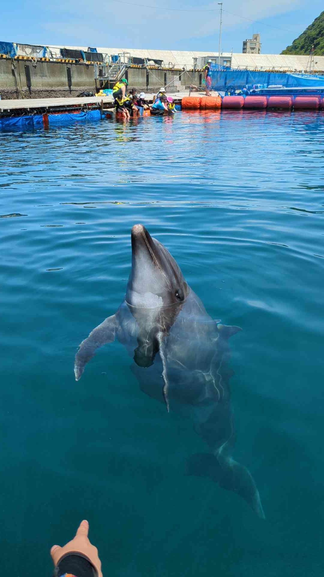 海遊びイベントのお手伝いに行ってきました！