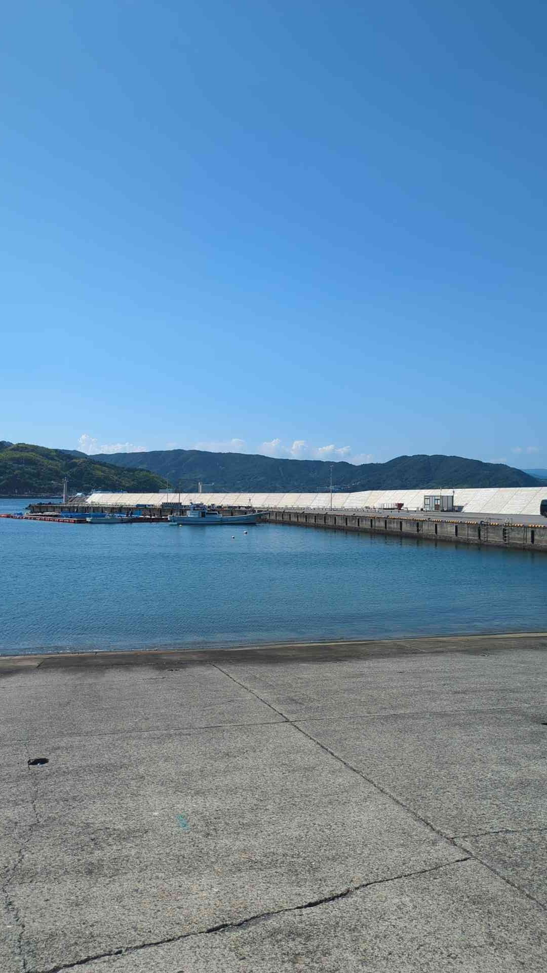 海遊びイベントのお手伝いに行ってきました！