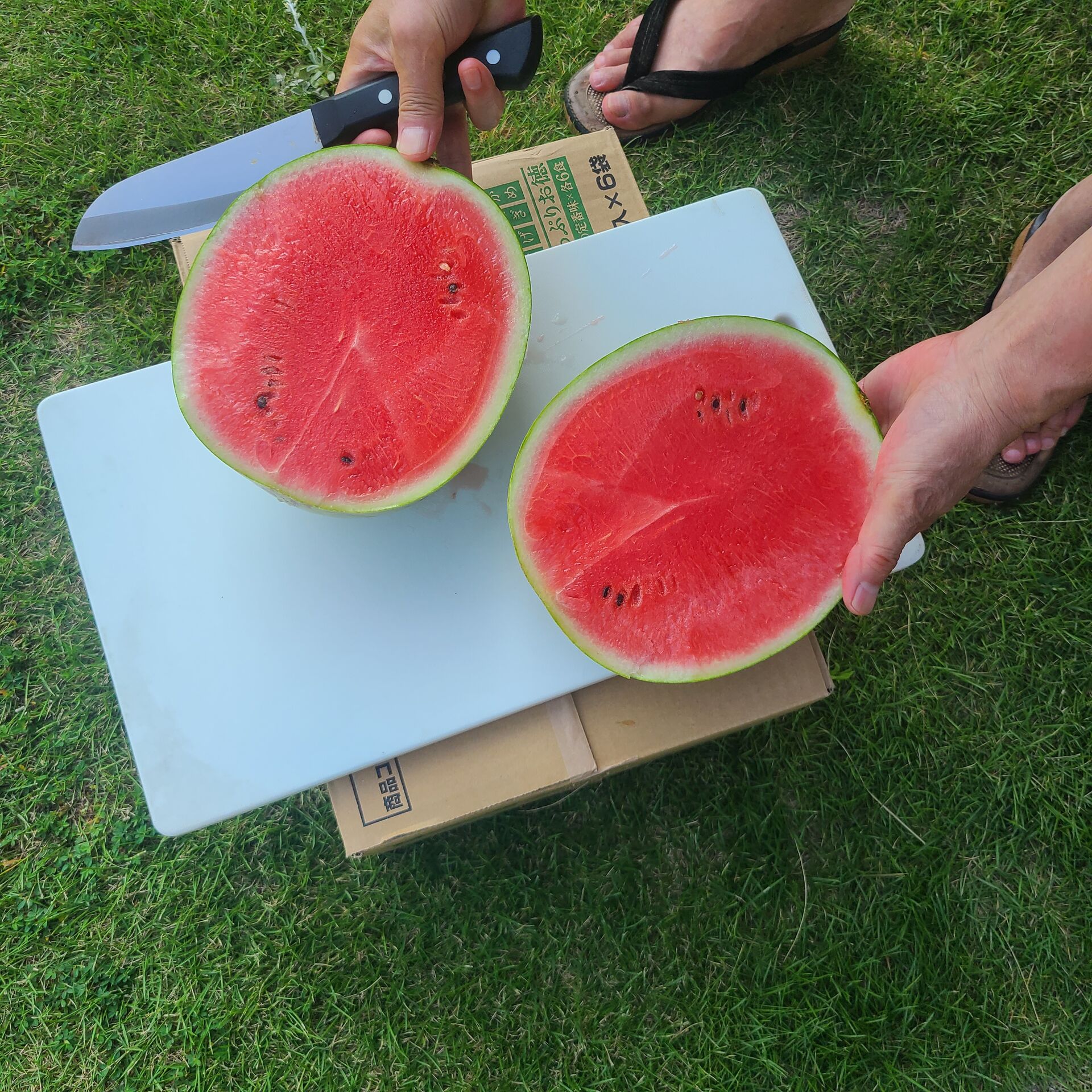 夏休み効果を実感